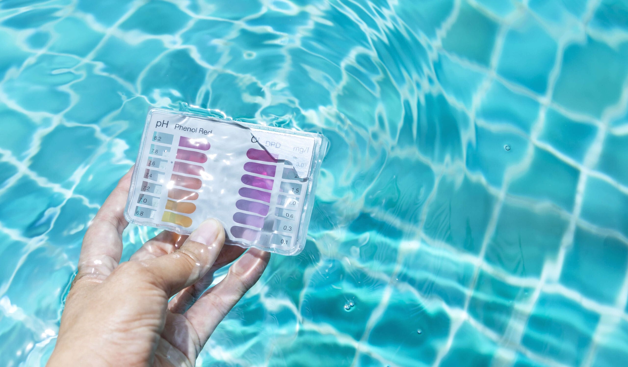 swimming pool water testing