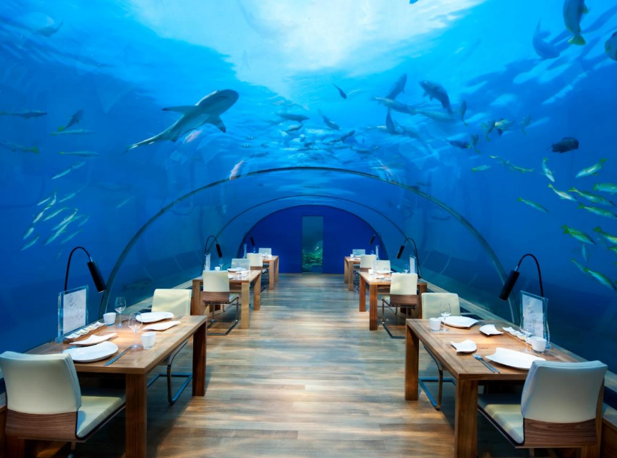 oceanarium in the Indian Ocean